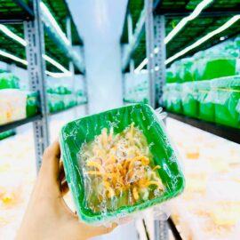 Alternative view of SỮA ĐÔNG TRÙNG HẠ THẢO COBY MILK